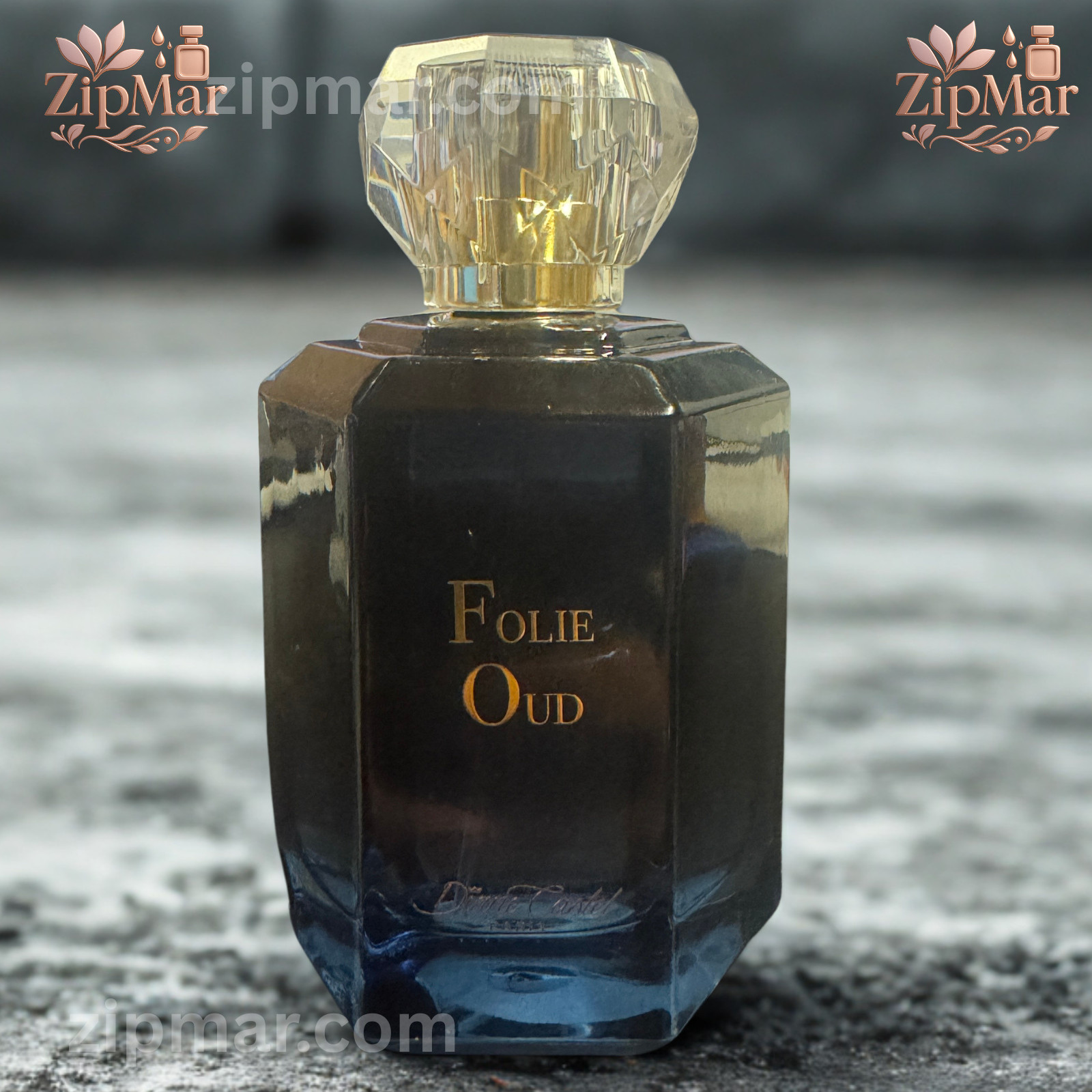 Folie Oud Eau de Parfum 3.4oz/100ml Diane Castel Men’s Perfume Spray Woody Scent
