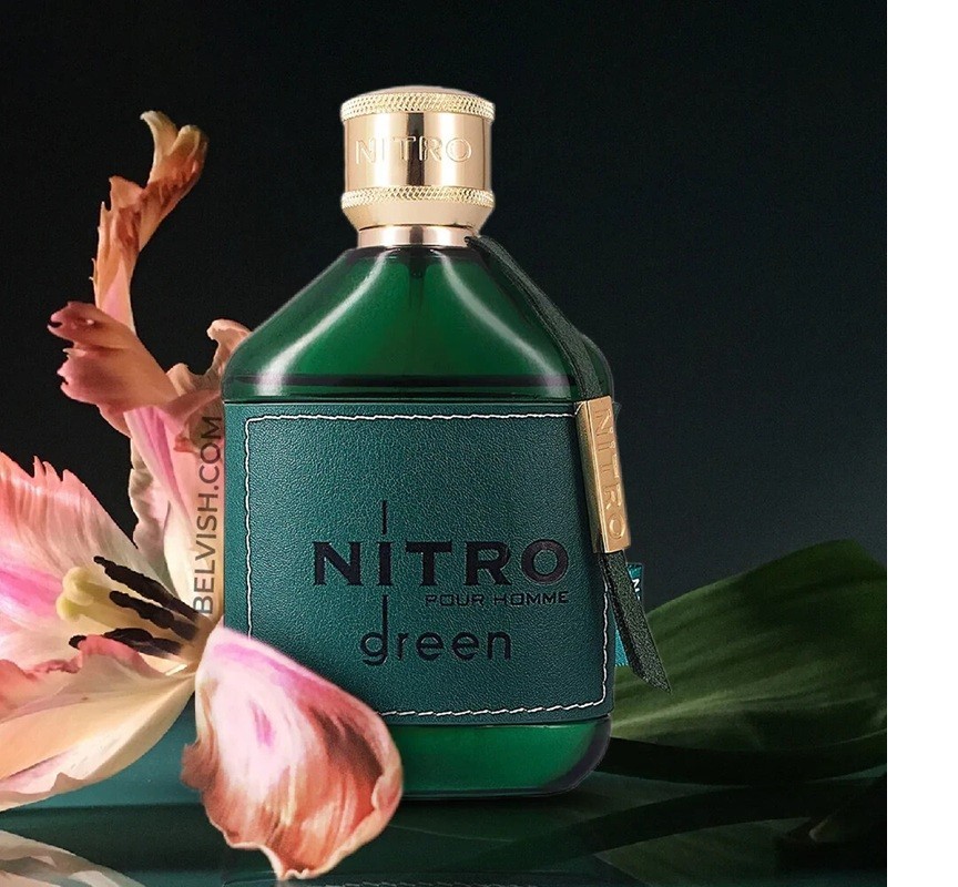 Nitro Green Pour Homme by Dumont Paris 3.4 oz EDP Cologne for Men Original & New
