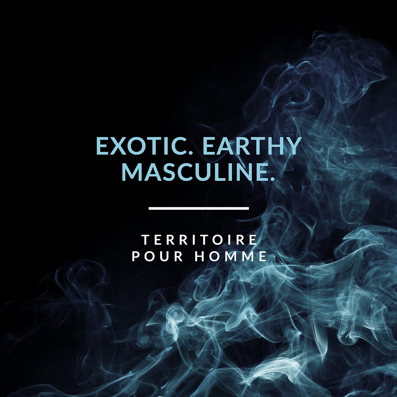 Territoire 3.4 oz Eau De Parfum Spray Men