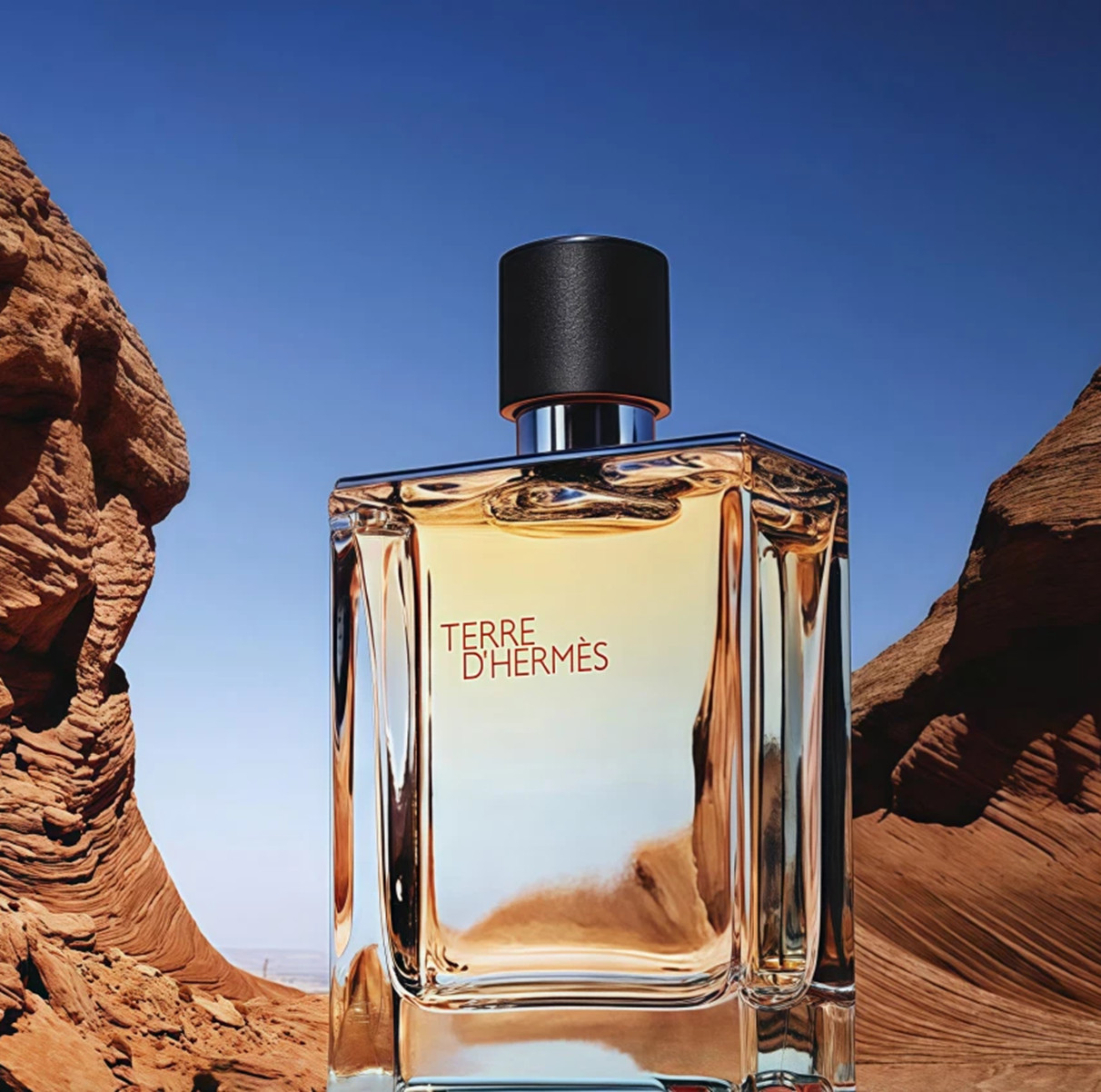 Hermes Terre D’Hermes Eau de Toilette 3.3 oz Men Cologn EDT Perfume New Sealed