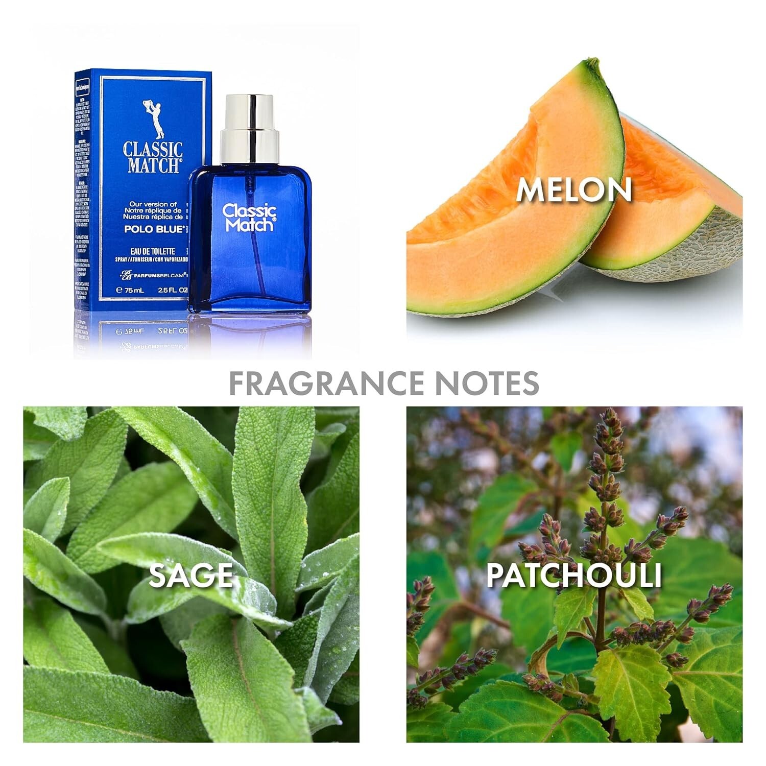 Classic Match CM Eau De Toilette Spray, Our Version of a Designer, 2.5 fl Oz.